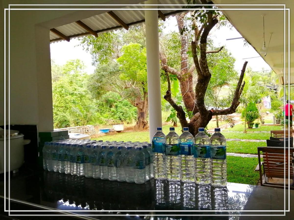 Sigiriya Green Garden Homestay Exteriör bild