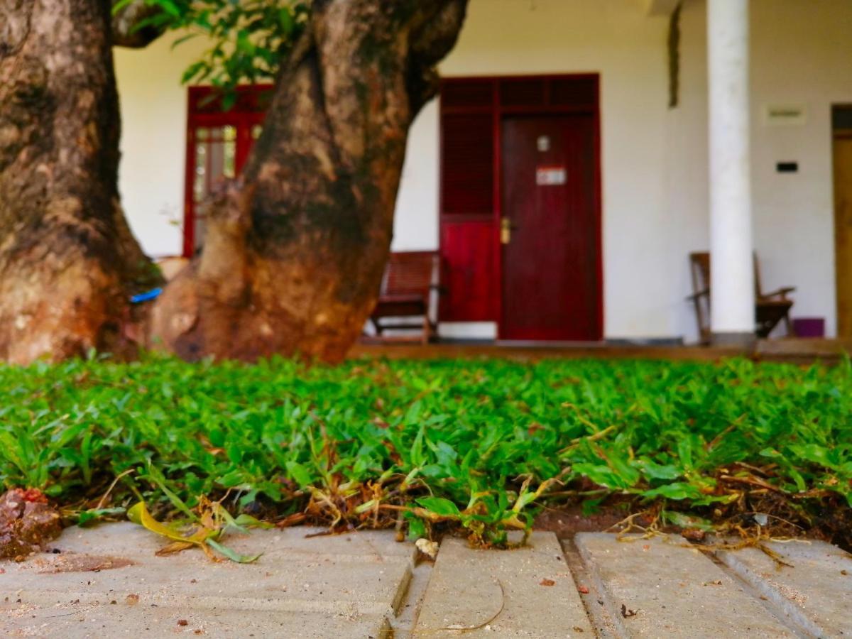 Sigiriya Green Garden Homestay Exteriör bild
