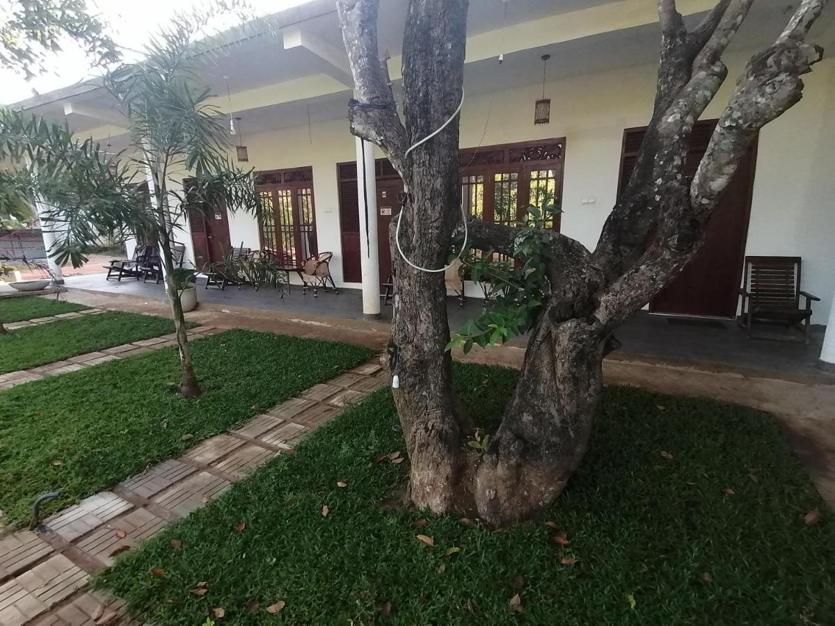 Sigiriya Green Garden Homestay Exteriör bild